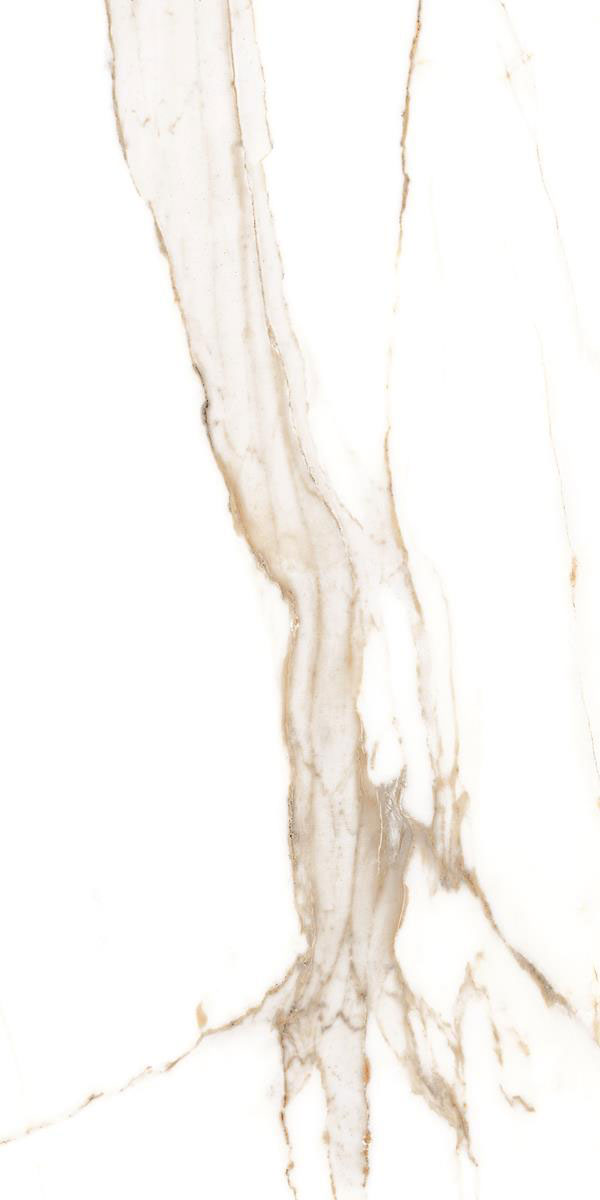 REGAL WHITE F5